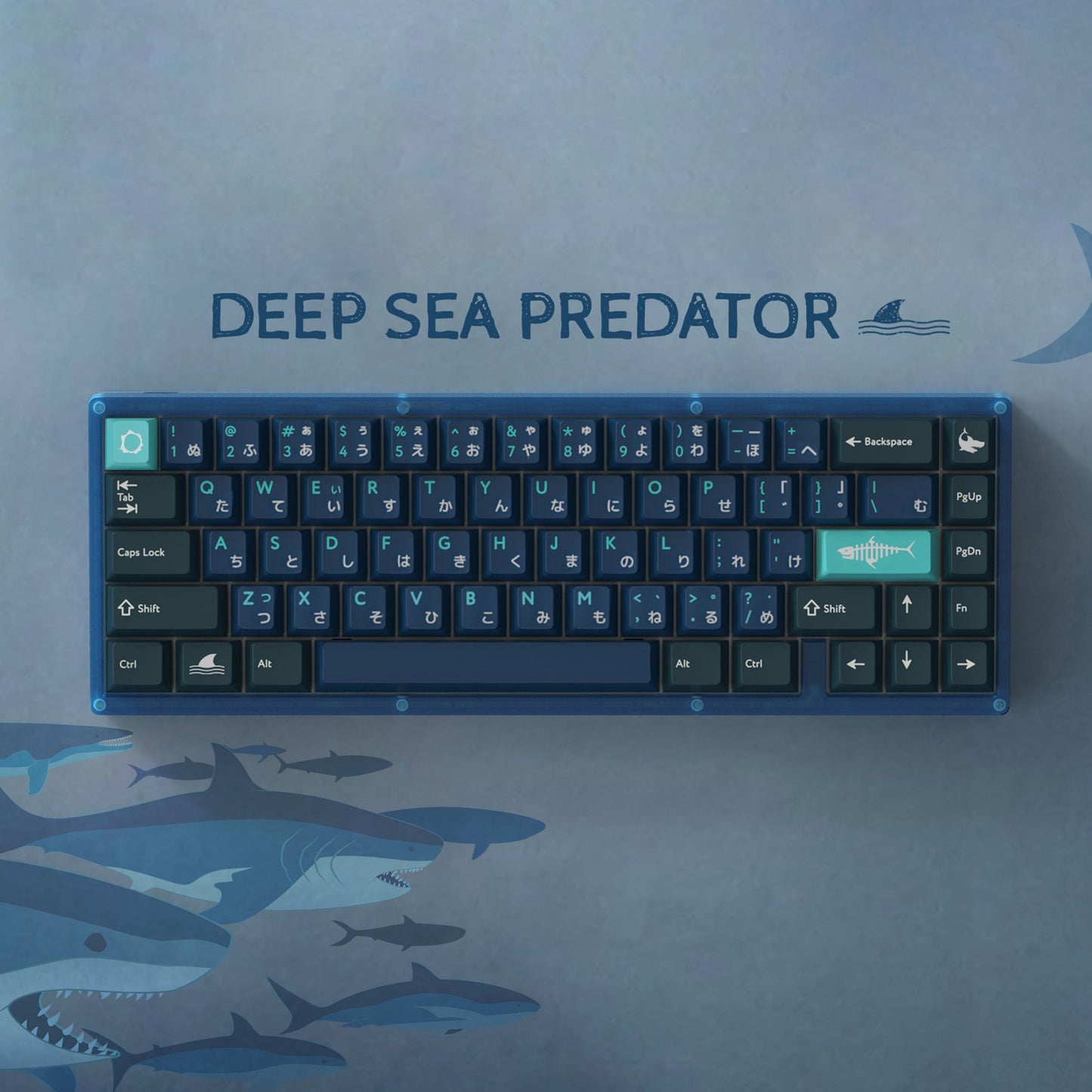 【END】PBTfans Deep Sea Predator 键帽